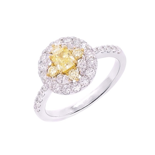 Anel em Ouro 18k Chuveiro Redondo Bicolor com 1 Diamante Fancy Yellow e 34 Diamantes 