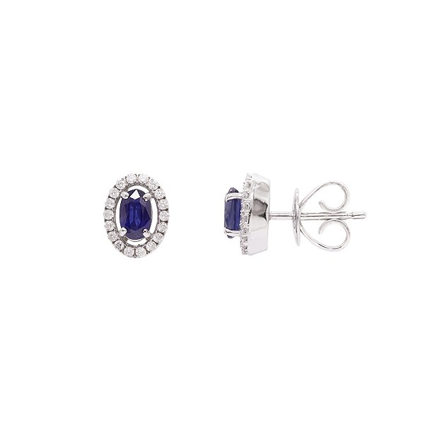 Brinco em Ouro Branco 18k Chuveiro Oval com 2 Safiras 0.66Cts e 36 Diamantes 0.16Cts   	