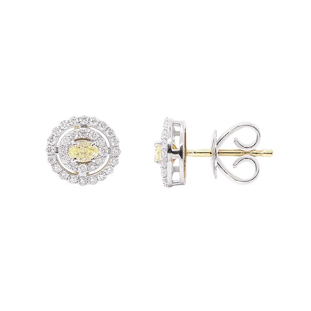 Brinco em Ouro Branco 18k Hallo com 66 Diamantes 0.31Cts e 2 Fancy Yellow 0.20Cts