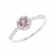 Anel em Ouro Branco 18k Chuveiro Redondo com 1 Safira Roxa 4mm 0.35Cts e 30 Diamantes 0.16Cts