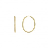 Brinco Argola Oval Nº2