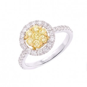 Anel em Ouro 18k Chuveiro Redondo Bicolor com 7 Diamantes Fancy Yellow e 30 Diamantes 